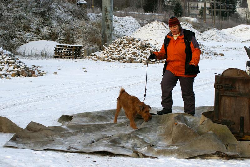 Soveltuvuustesti (43).jpg